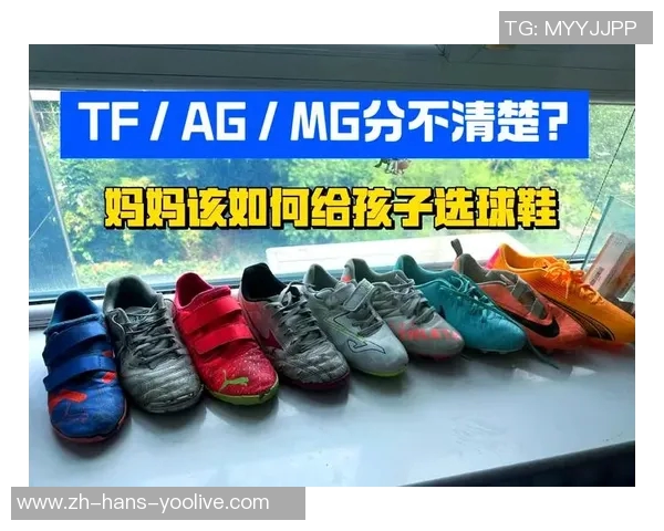 足球鞋价格揭秘不同品牌与类型的市场行情分析